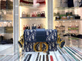 Dior Bags - 3987