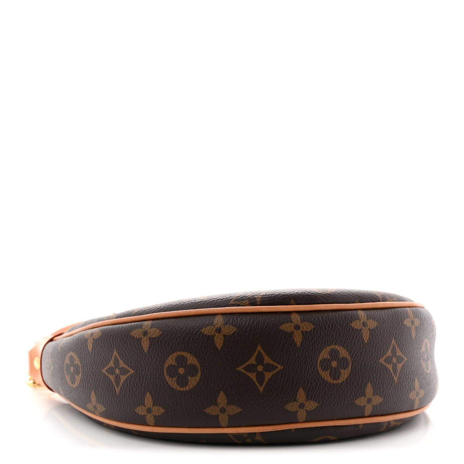 Louis Vuitton Monogram Loop