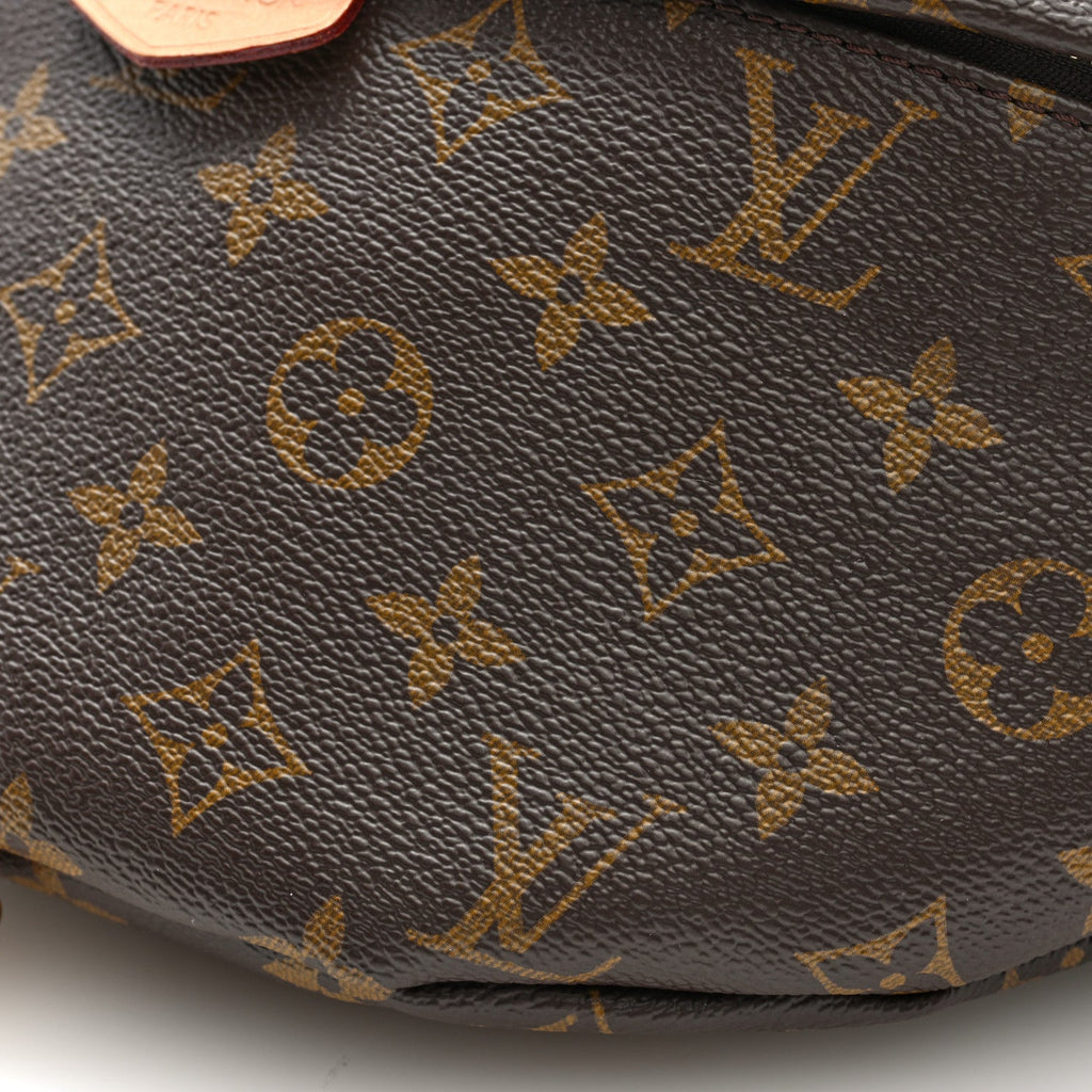 Louis Vuitton Monogram Bumbag