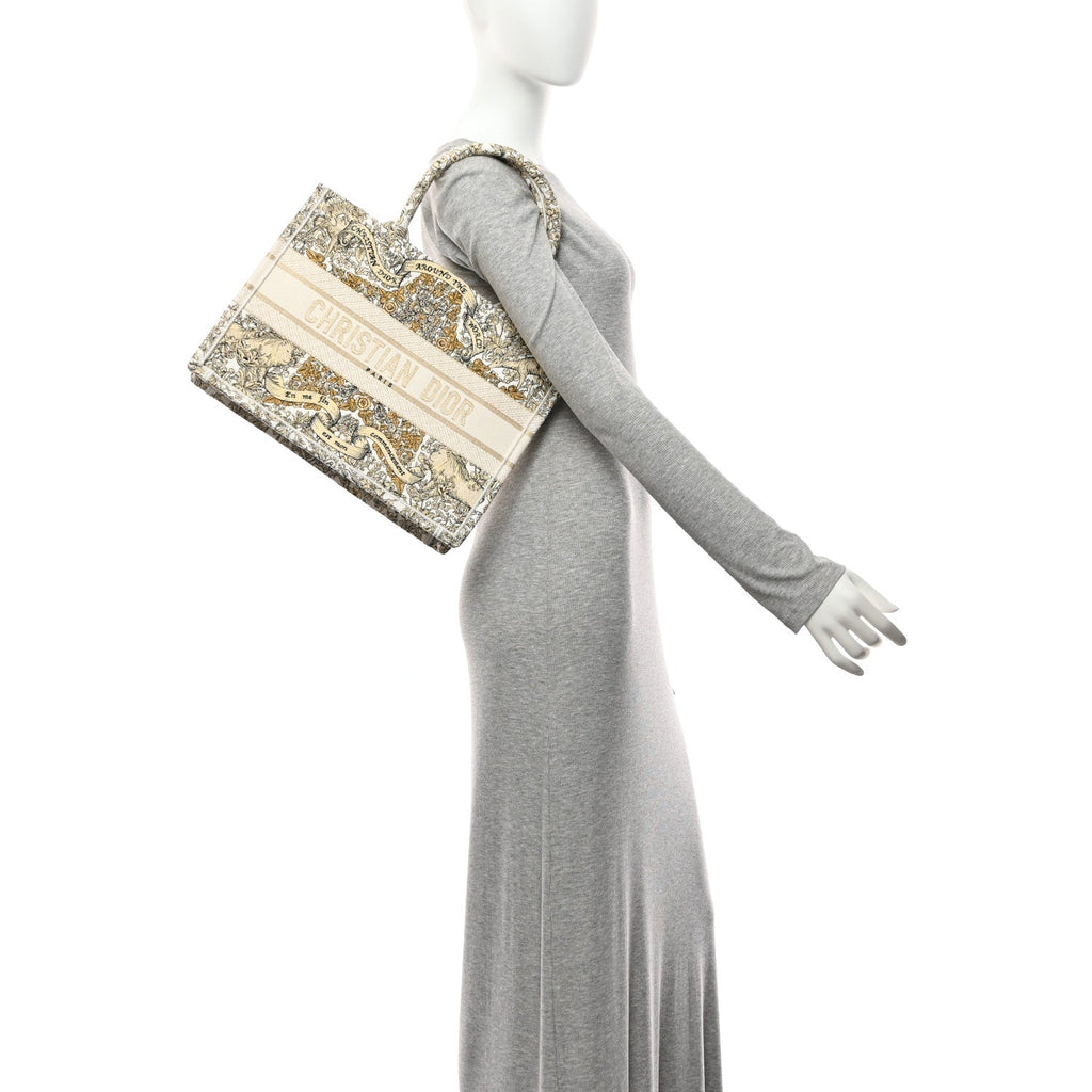 Christian Dior Canvas Embroidered Medium Around The World Book Tote Gold