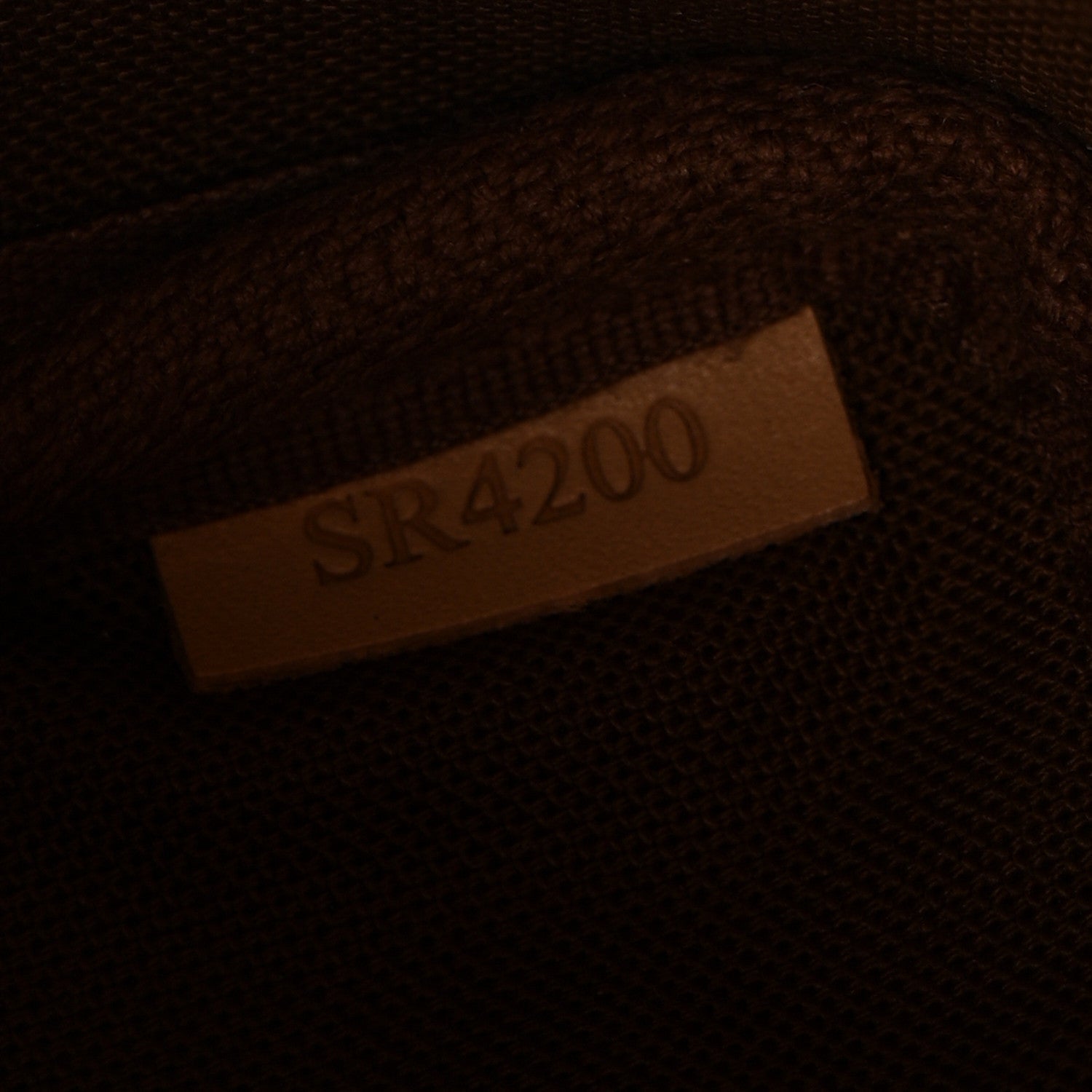 Louis Vuitton Monogram Nano Noe