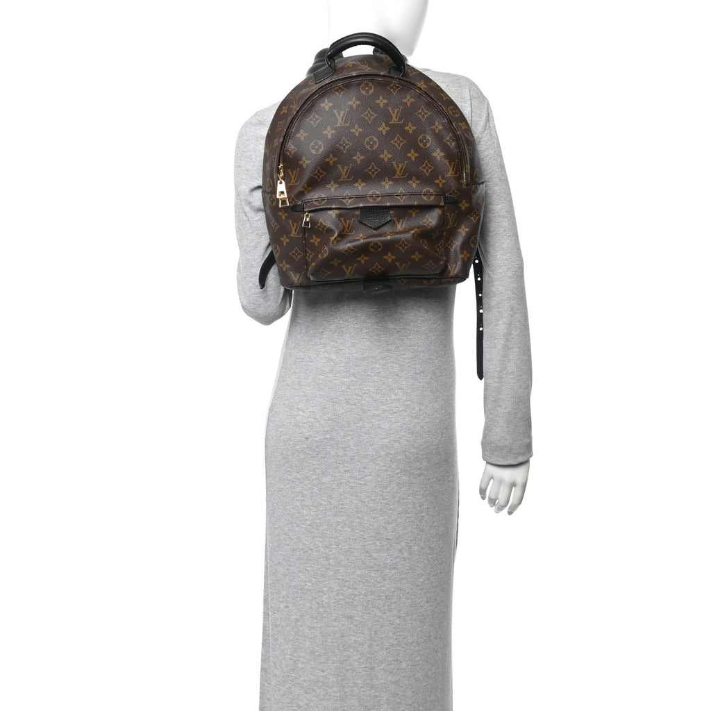 Louis Vuitton Monogram Palm Springs Backpack MM
