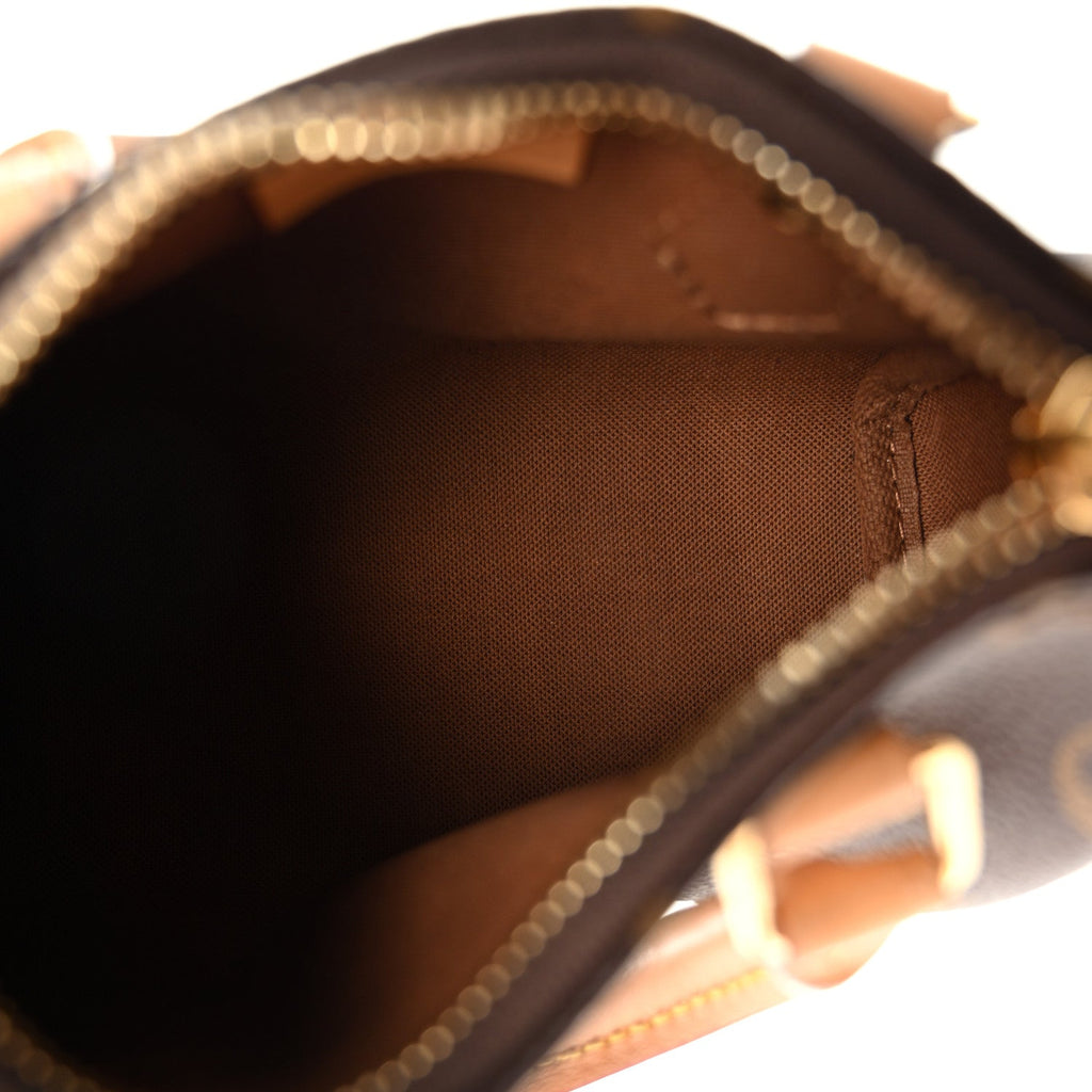 Louis Vuitton Monogram Nano Speedy Bandouliere