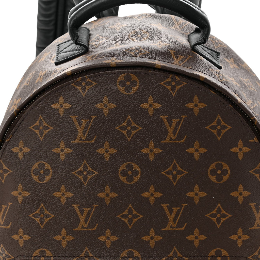 Louis Vuitton Monogram Palm Springs Backpack MM