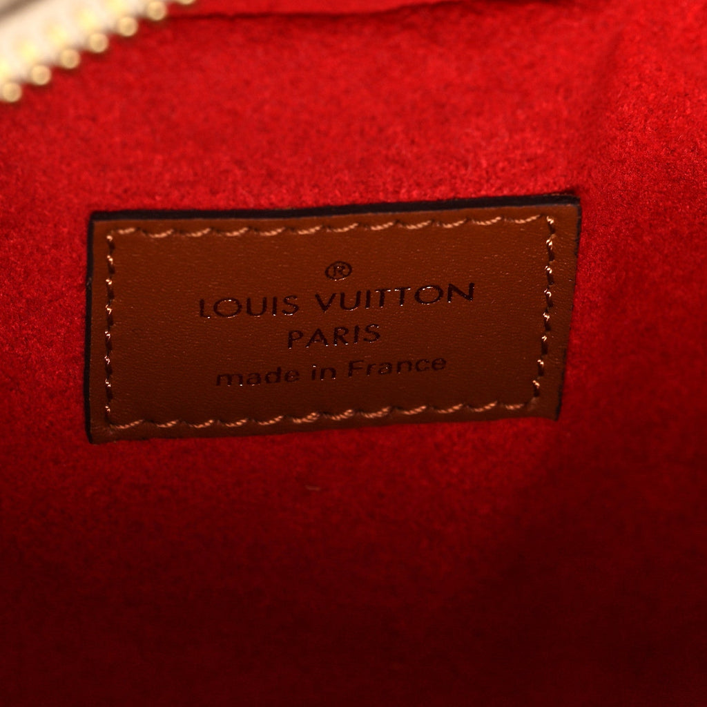 Louis Vuitton Monogram Teddy Beach Pouch