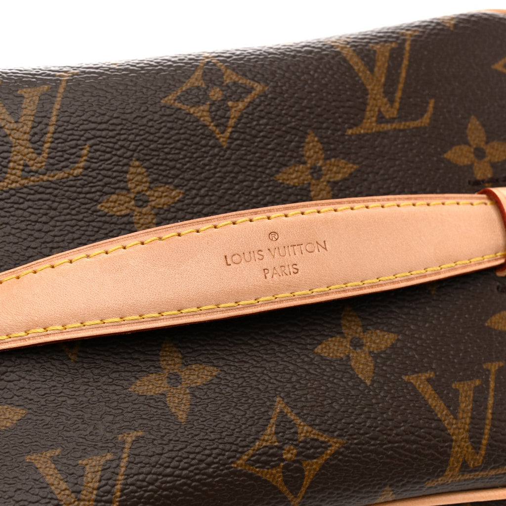 Louis Vuitton Monogram Nice Mini