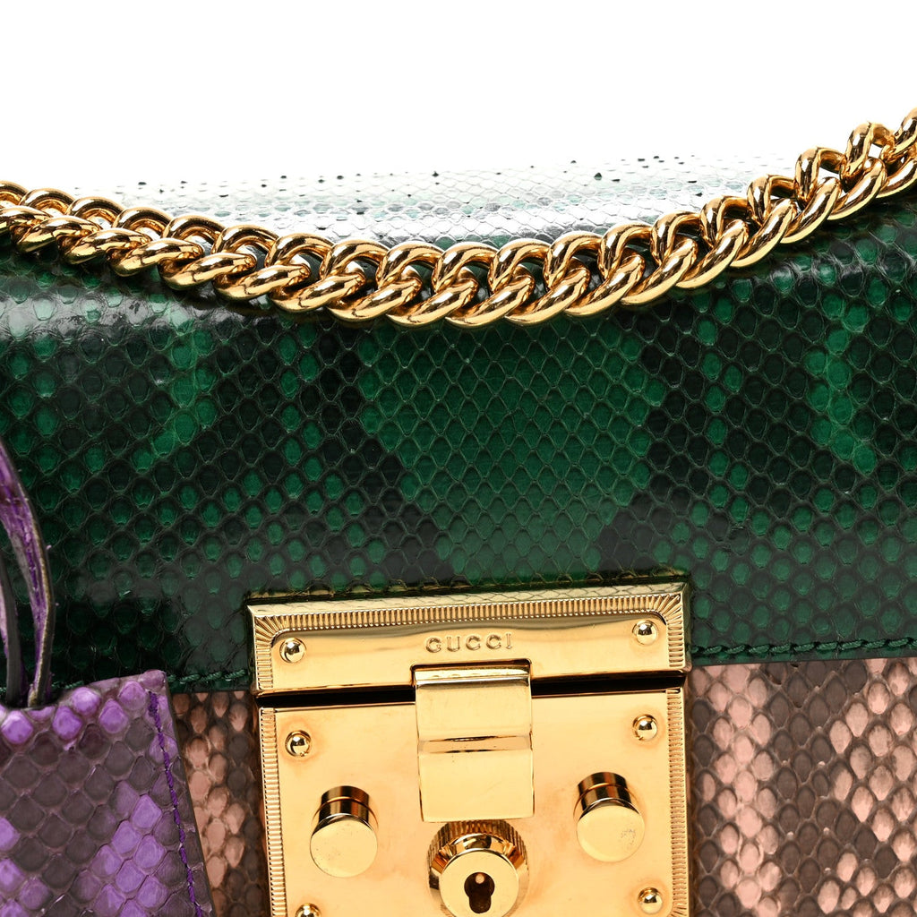 Gucci Snakeskin Small Padlock Shoulder Bag Green Pink Purple