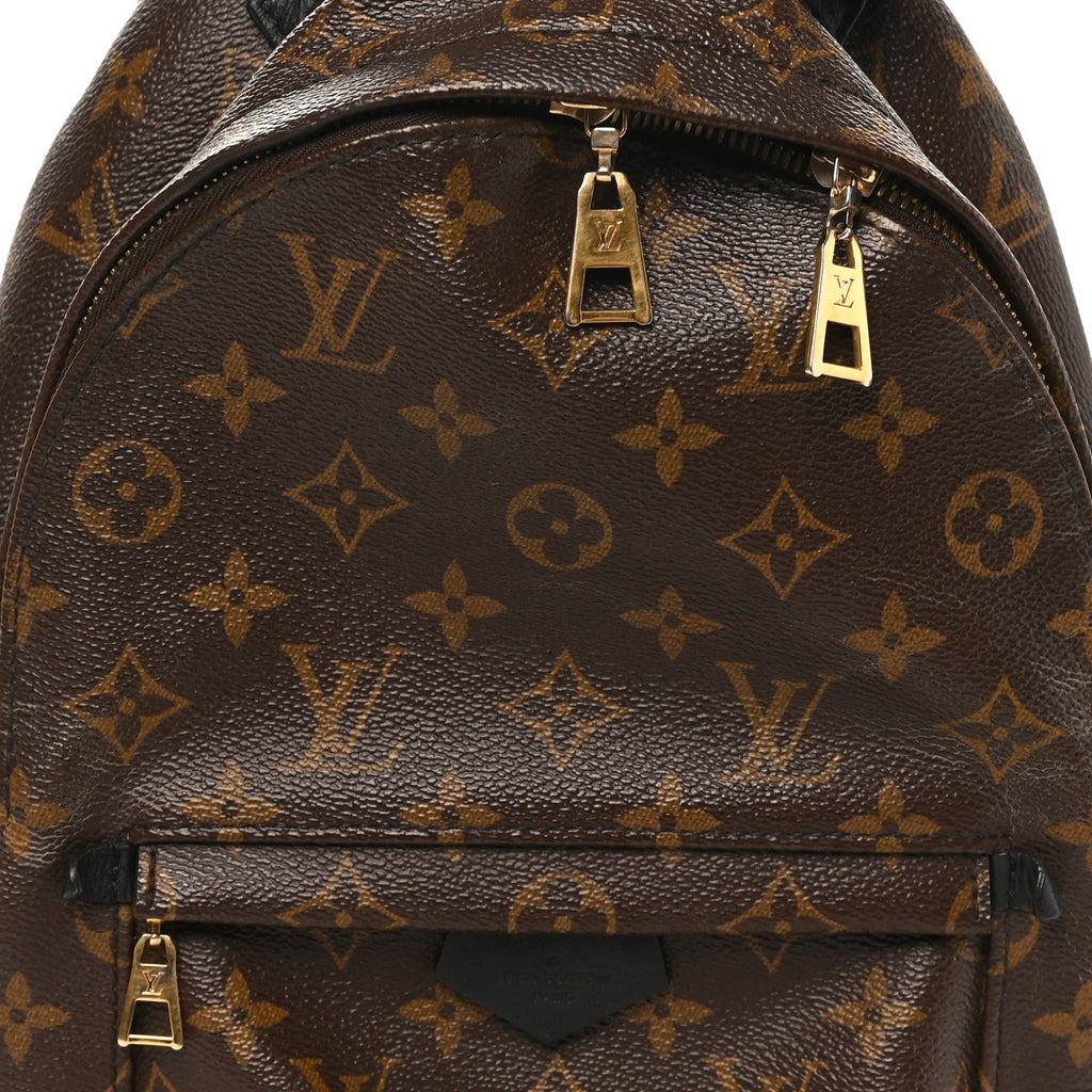 Louis Vuitton Monogram Palm Springs Backpack PM