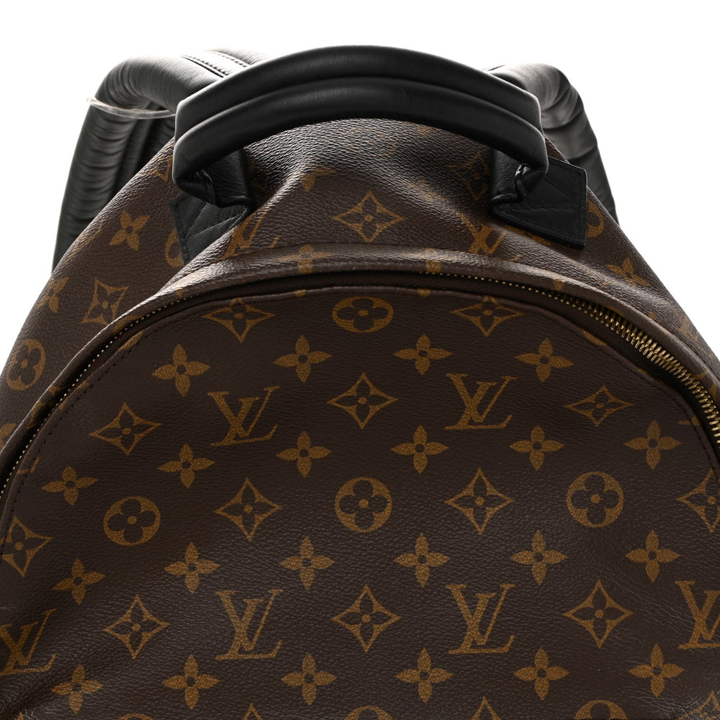 Louis Vuitton Monogram Palm Springs Backpack MM