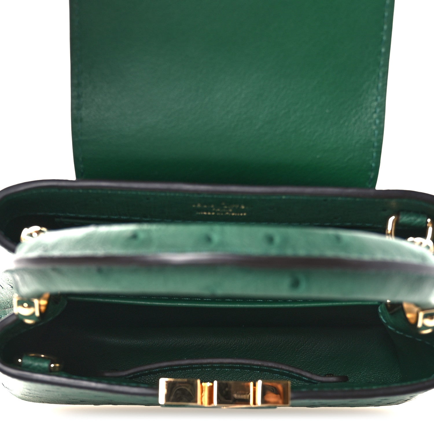 Louis Vuitton Ostrich Capucines Mini Mint