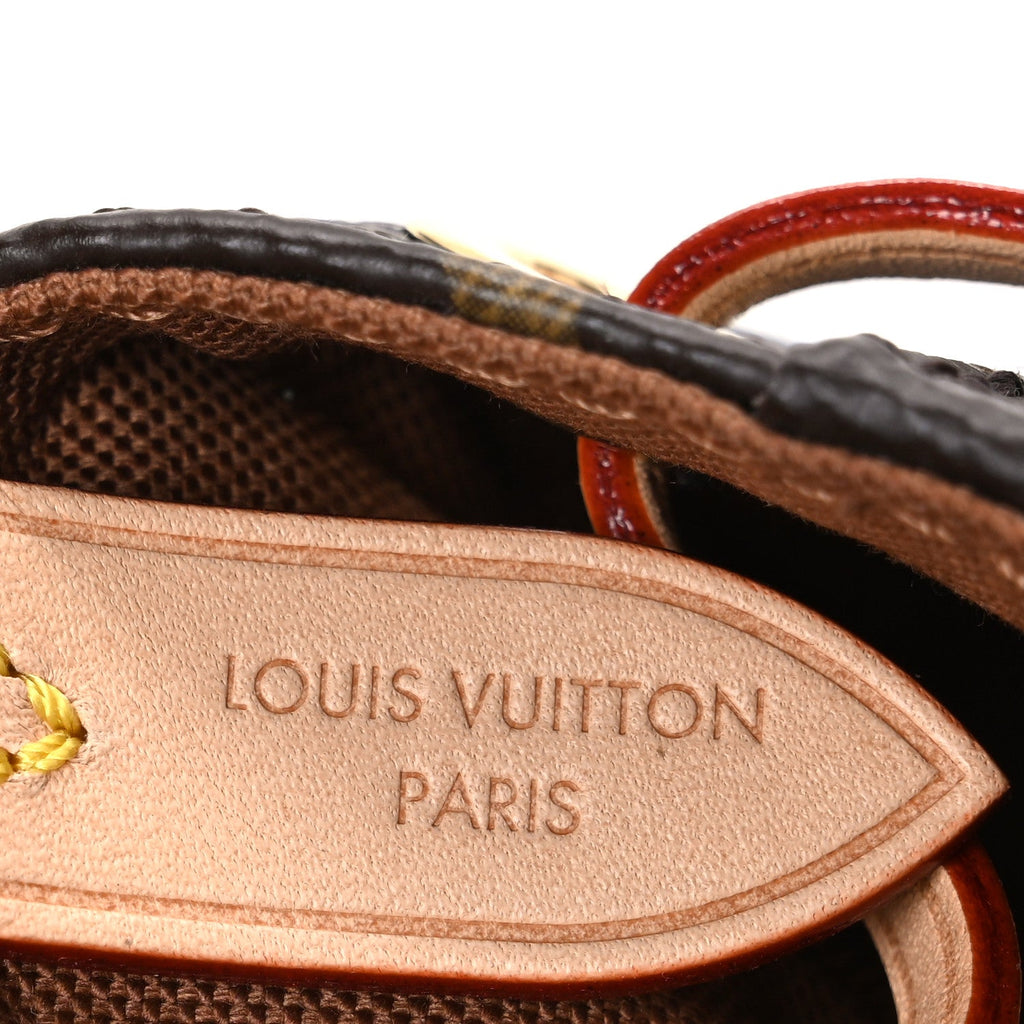 Louis Vuitton Monogram Odyssee NM