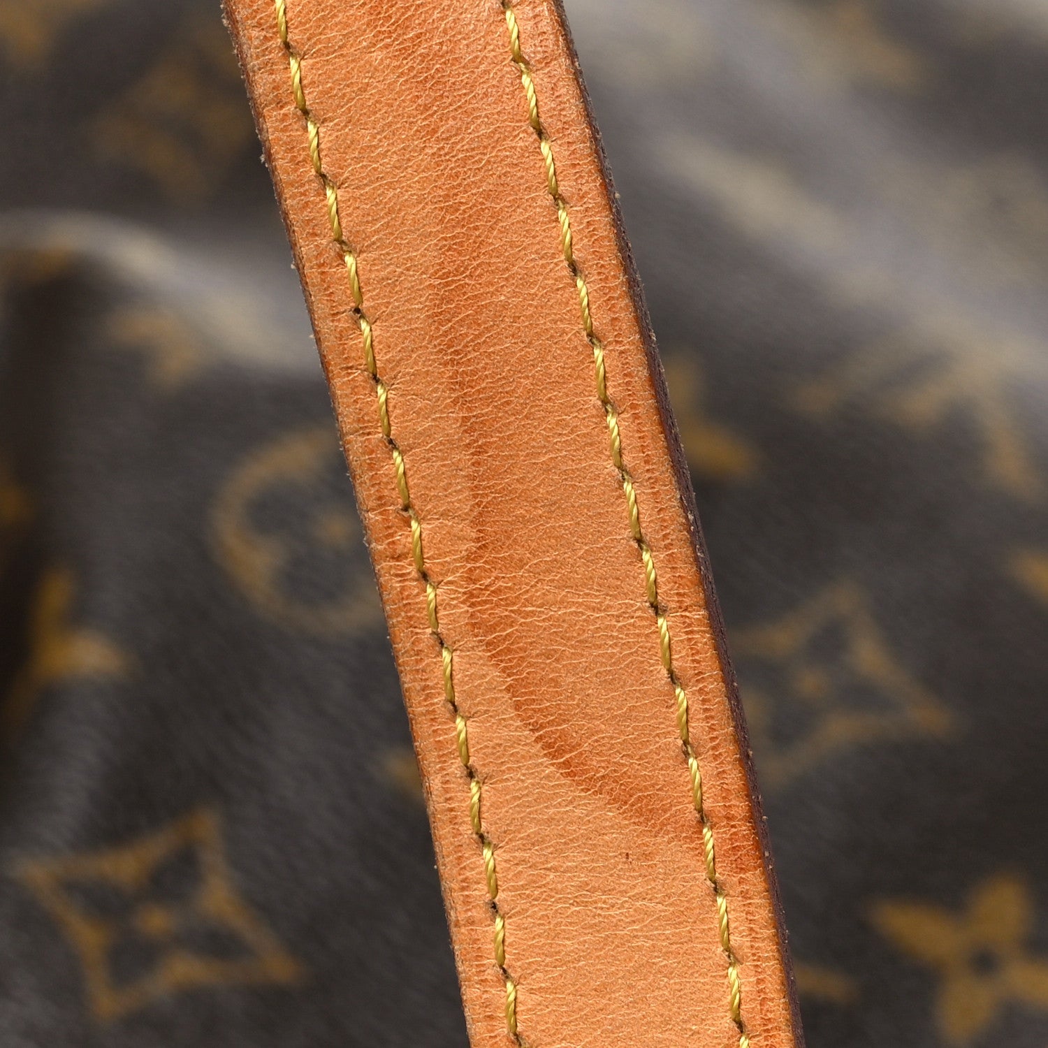 Louis Vuitton Monogram Palermo GM