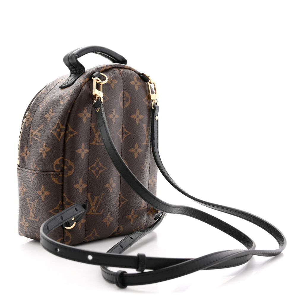 Louis Vuitton Monogram Palm Springs Backpack Mini