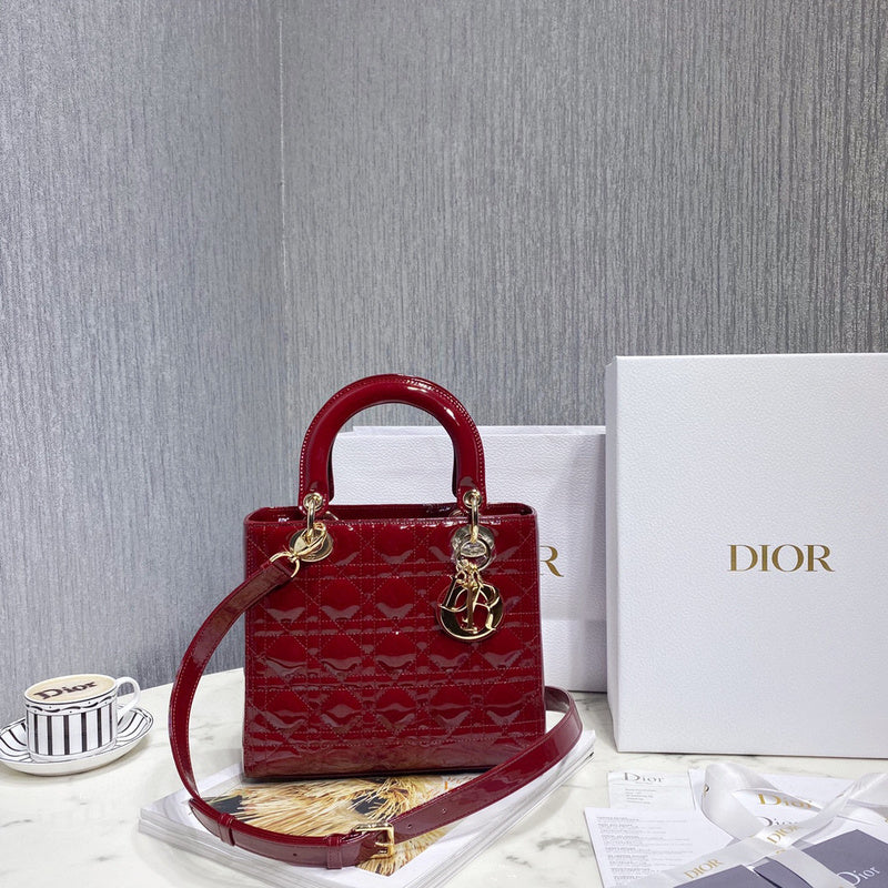 Dior Bags - 489