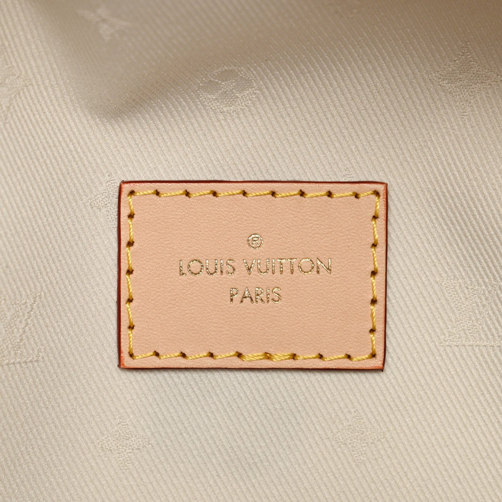 Louis Vuitton Monogram High Rise Bumbag