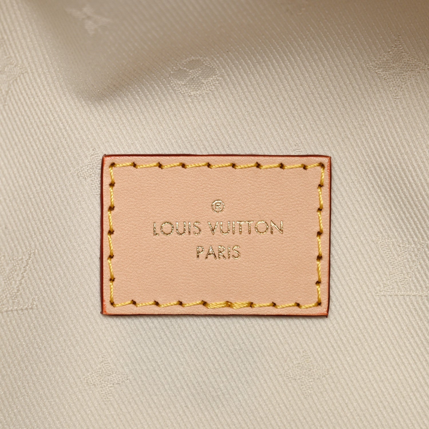 Louis Vuitton Monogram High Rise Bumbag