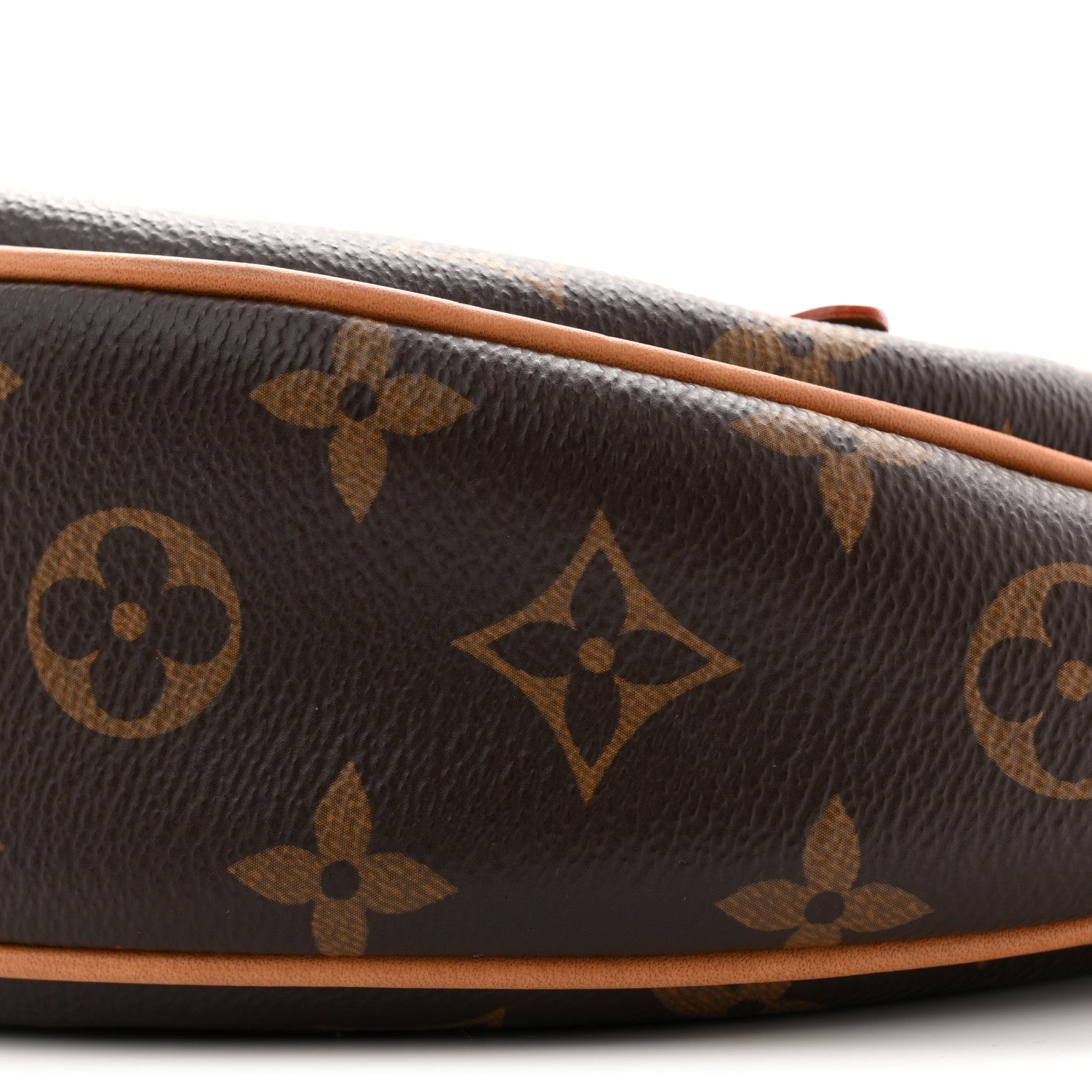Louis Vuitton Monogram Loop