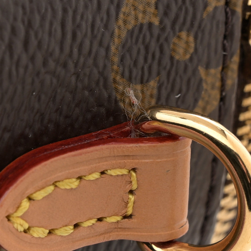 Louis Vuitton Monogram Mini Bumbag