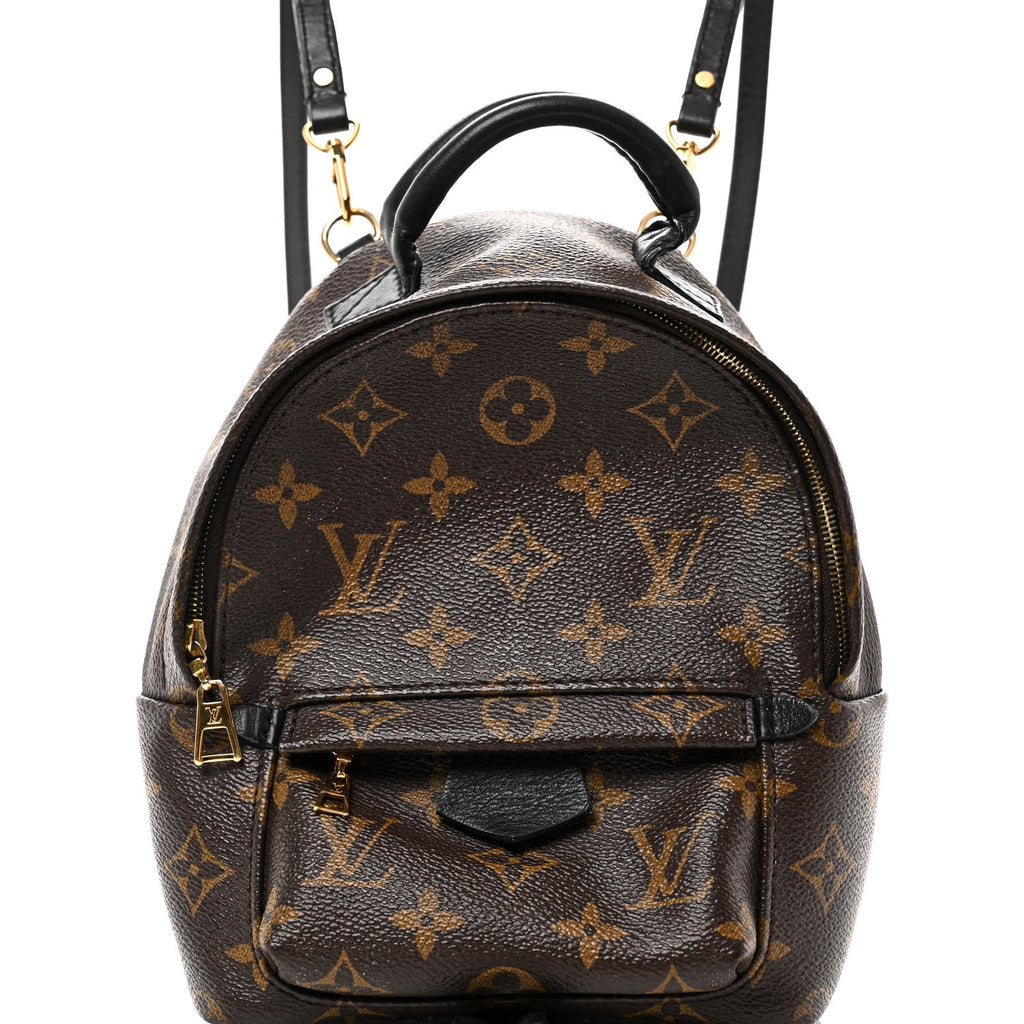 Louis Vuitton Monogram Palm Springs Backpack Mini