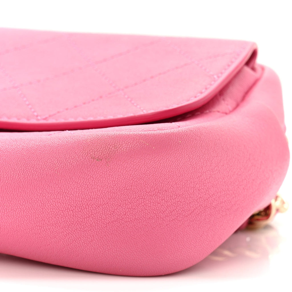 Chanel Goatksin Quilted Casual Trip Waist Bag Pink