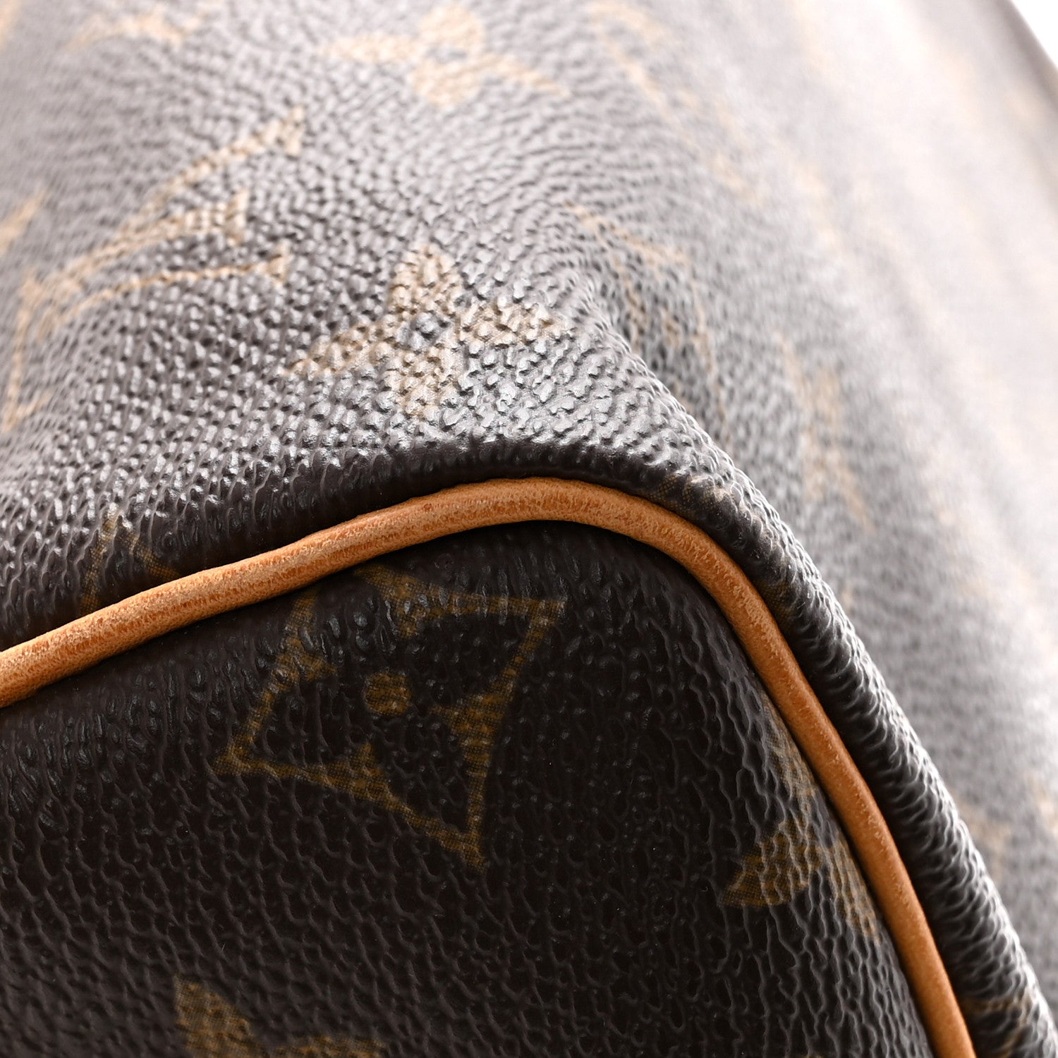 Louis Vuitton Monogram Speedy 30