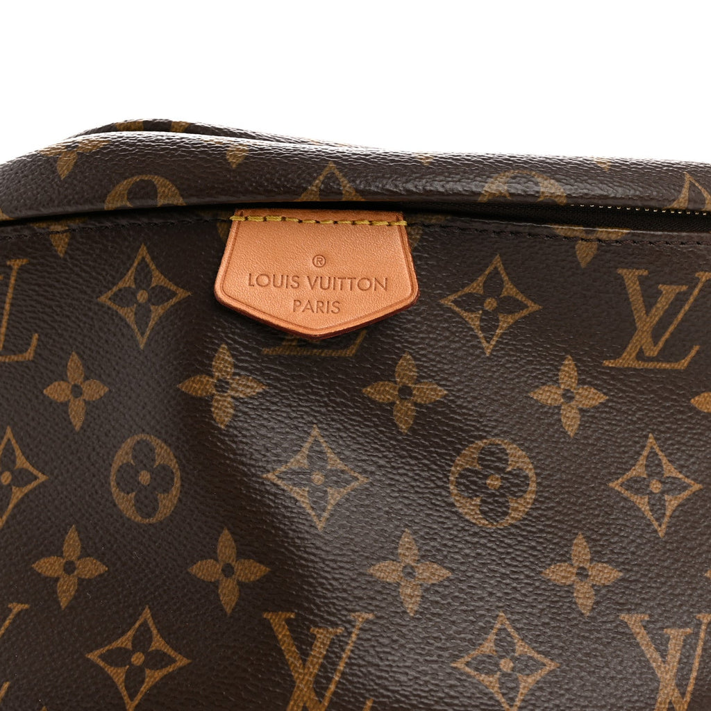 Louis Vuitton Monogram Bumbag