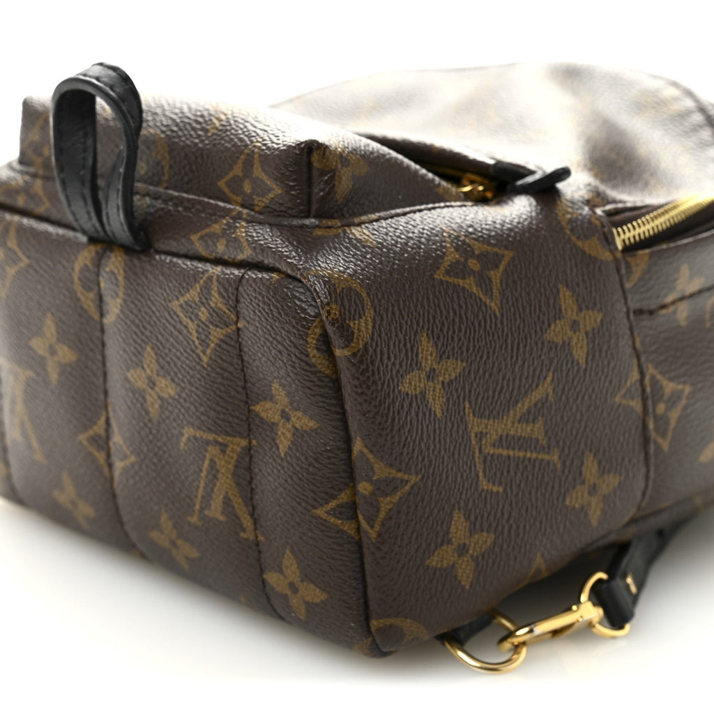 Louis Vuitton Monogram Palm Springs Backpack Mini