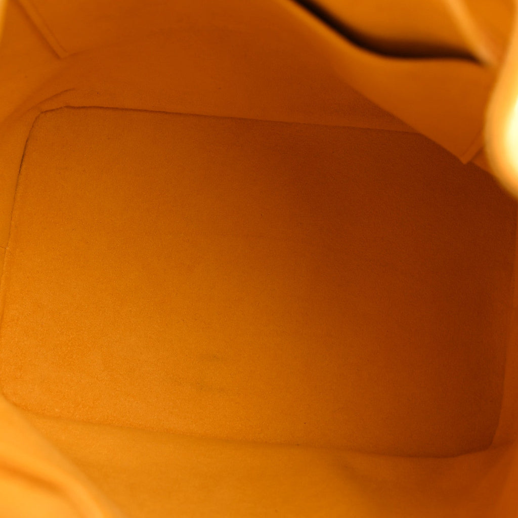 Louis Vuitton Epi Noe NM Citron