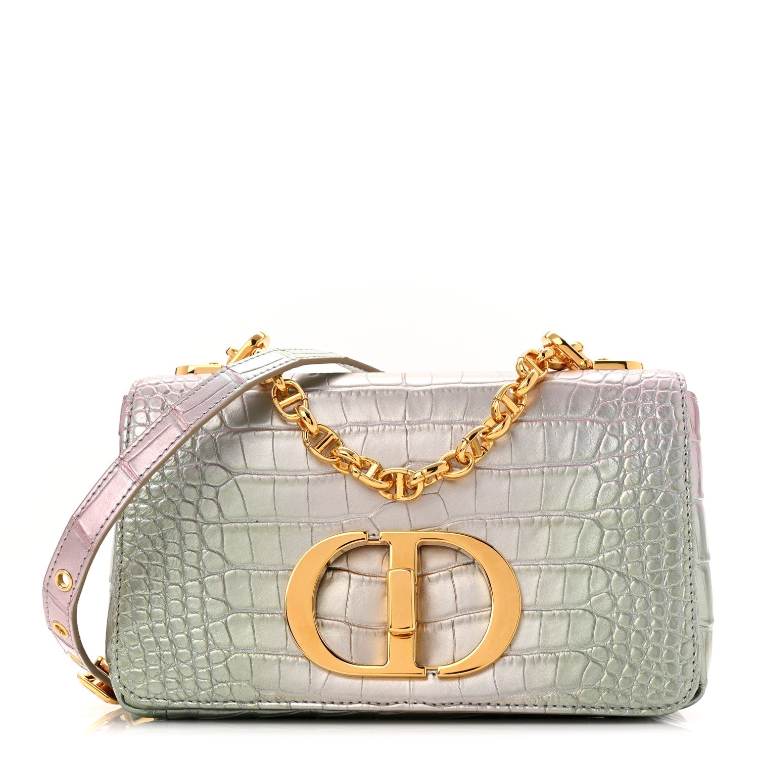 Christian Dior Metallic Alligator Small Caro Bag Multicolor