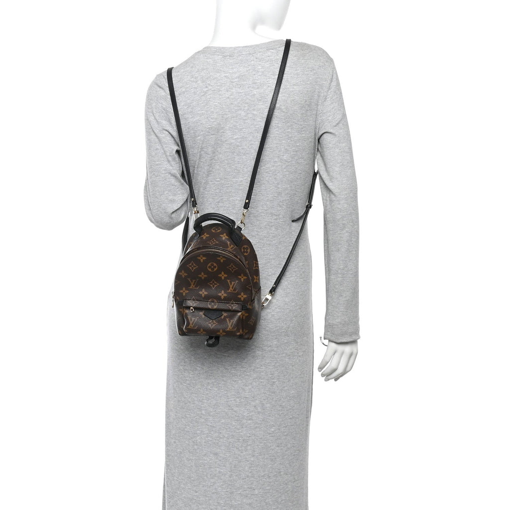Louis Vuitton Monogram Palm Springs Backpack Mini