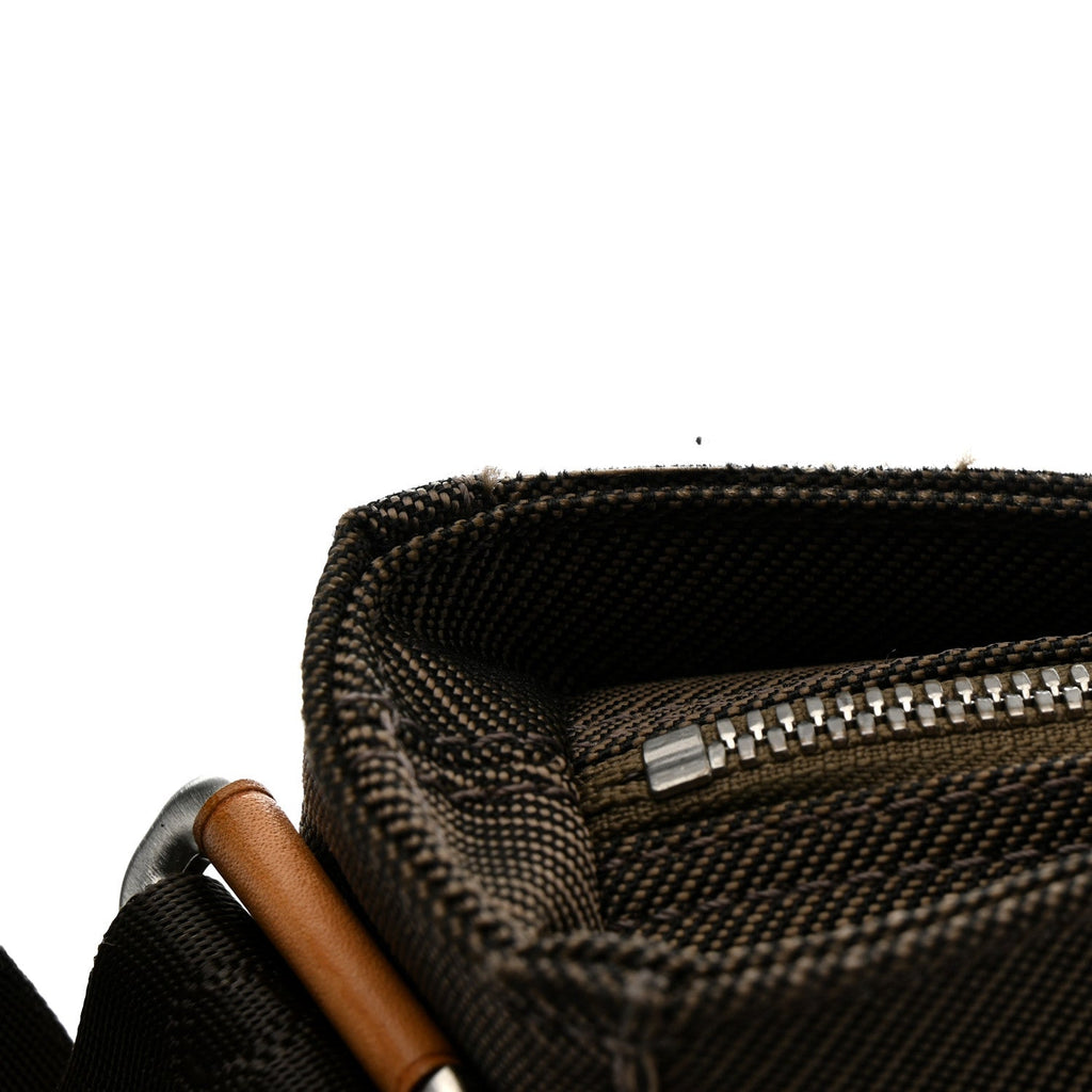 Louis Vuitton Damier Geant Compagnon Messenger Terre