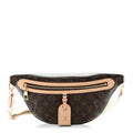 Louis Vuitton Monogram High Rise Bumbag