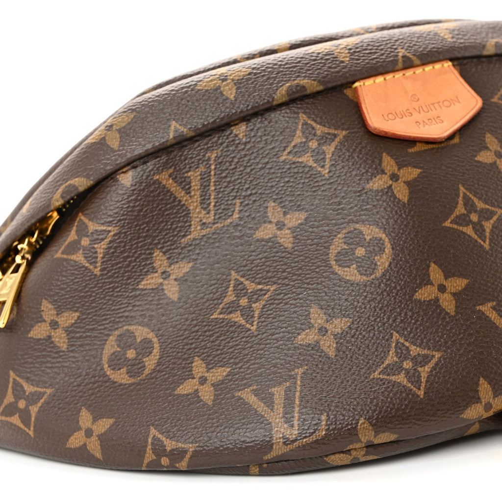 Louis Vuitton Monogram Bumbag