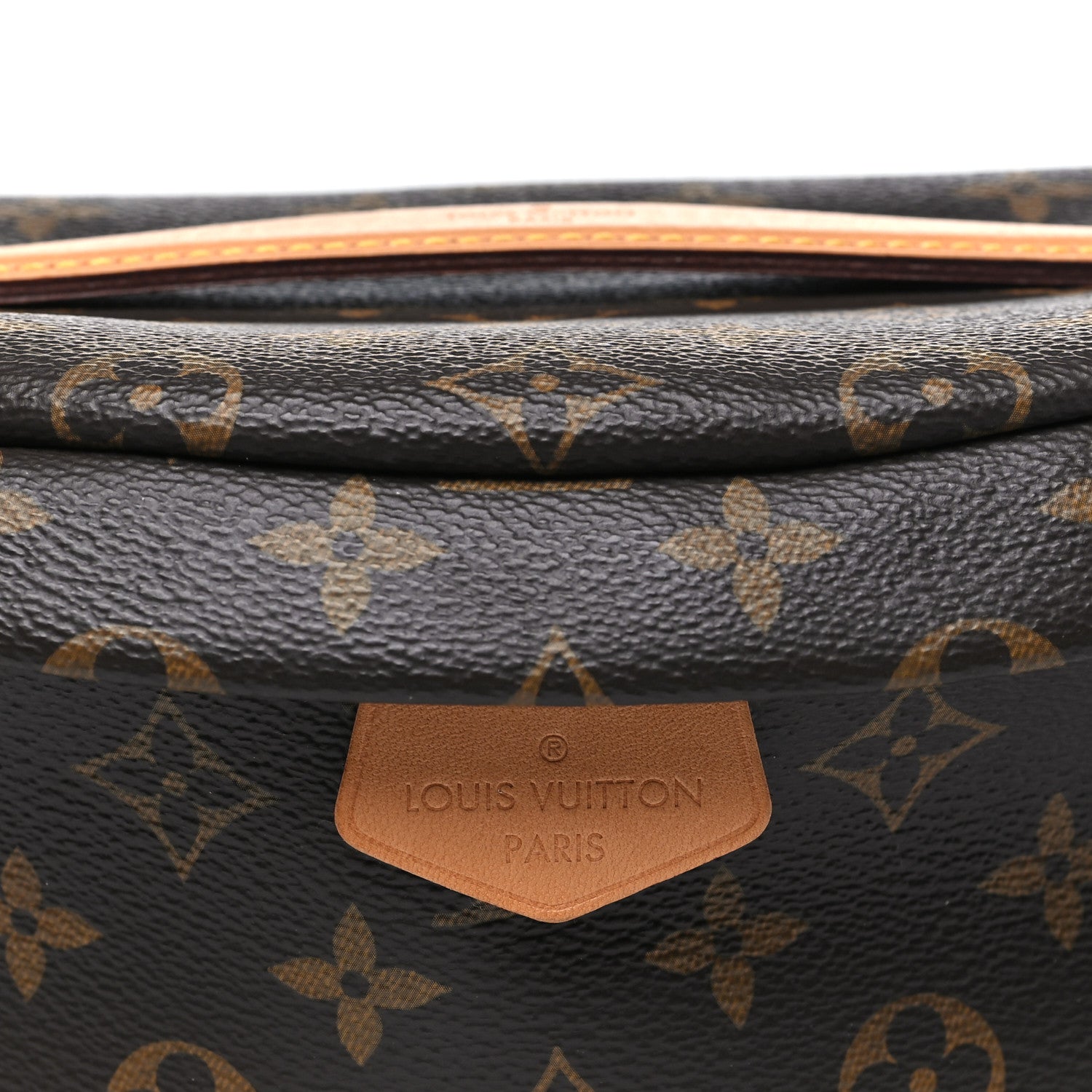 Louis Vuitton Monogram Bumbag
