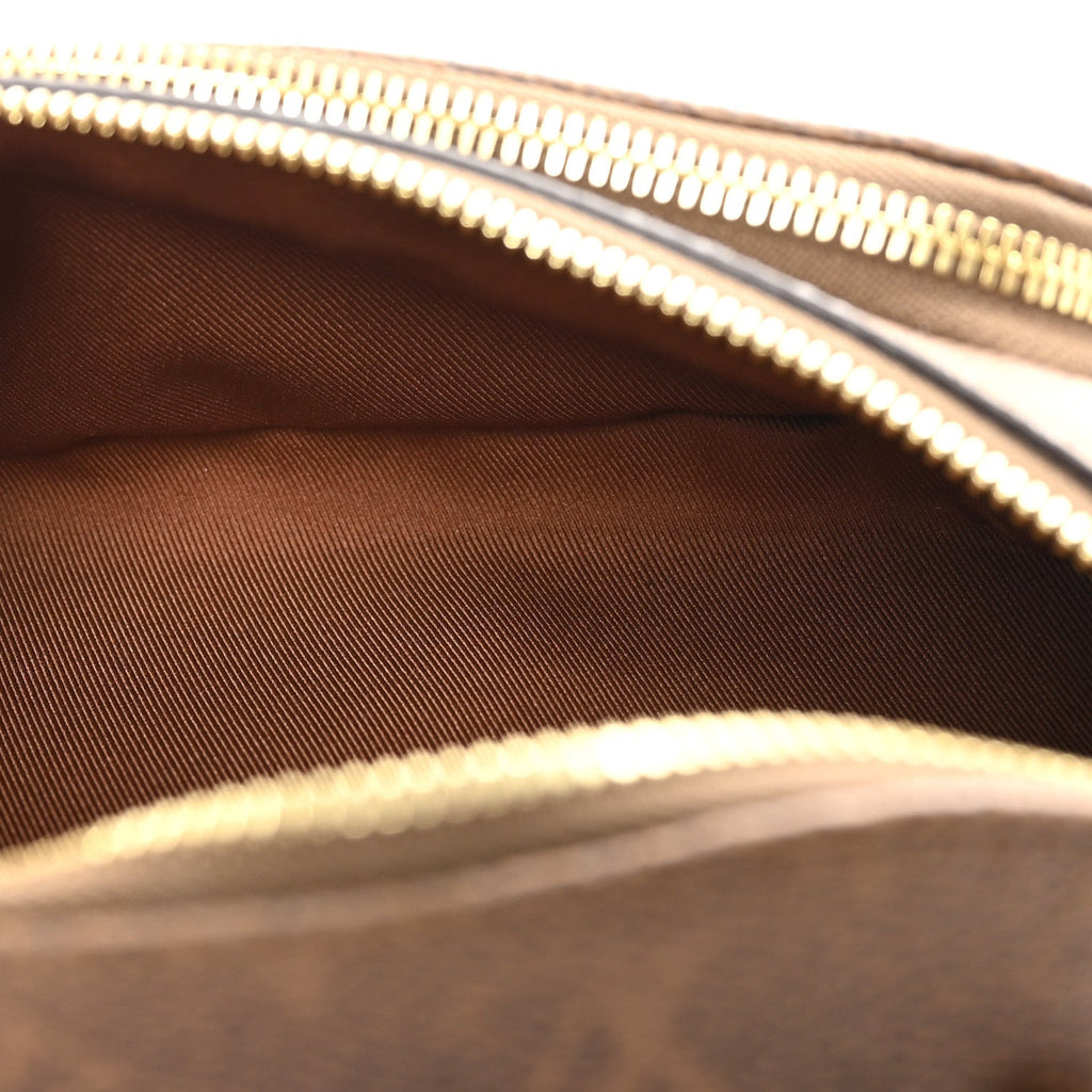 Louis Vuitton Monogram Dust Rush Bumbag