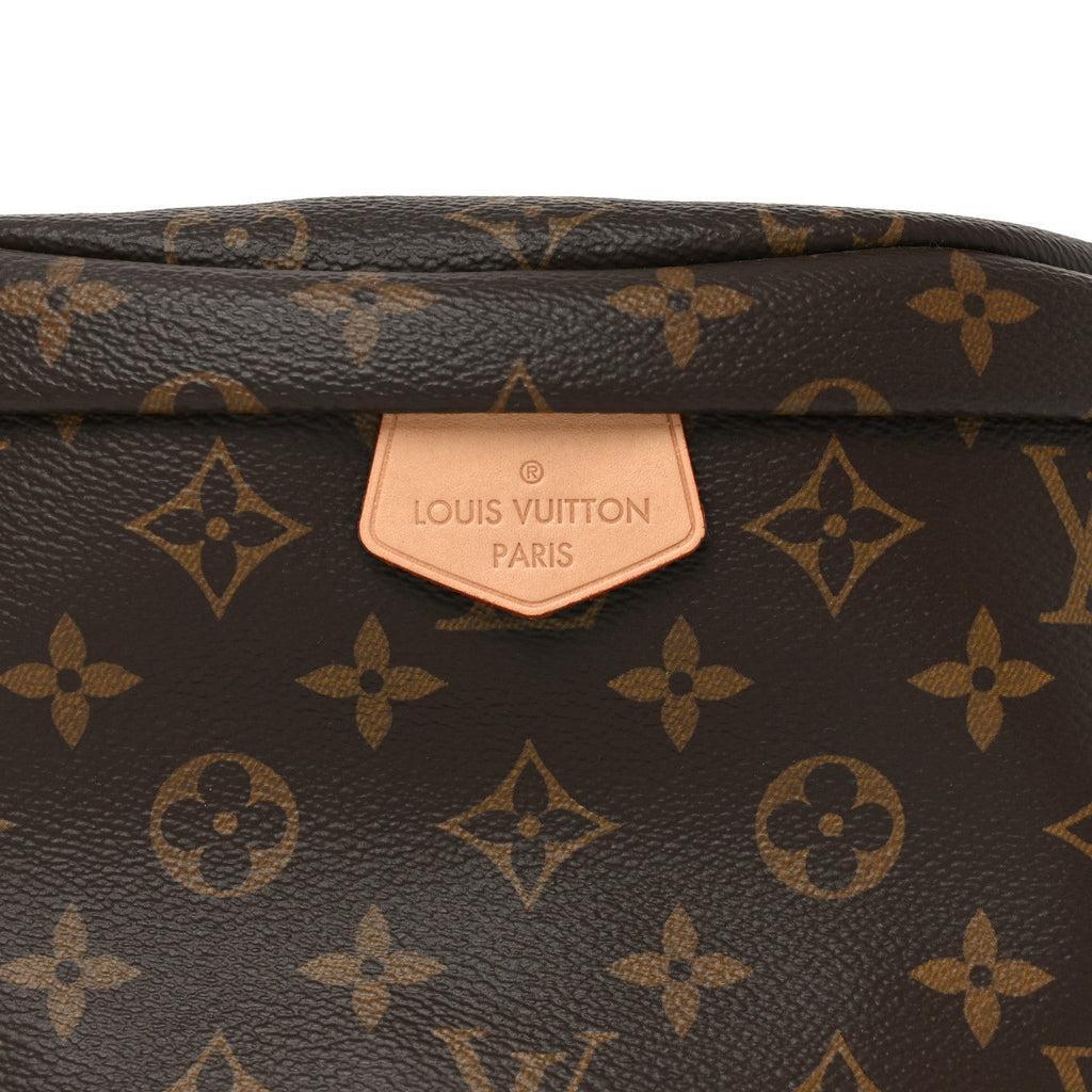 Louis Vuitton Monogram Bumbag
