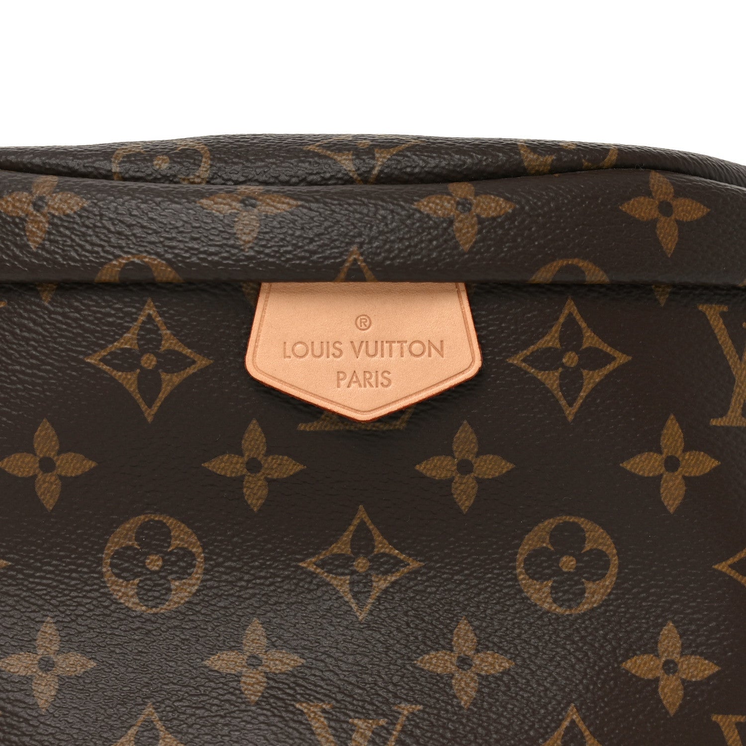 Louis Vuitton Monogram Bumbag
