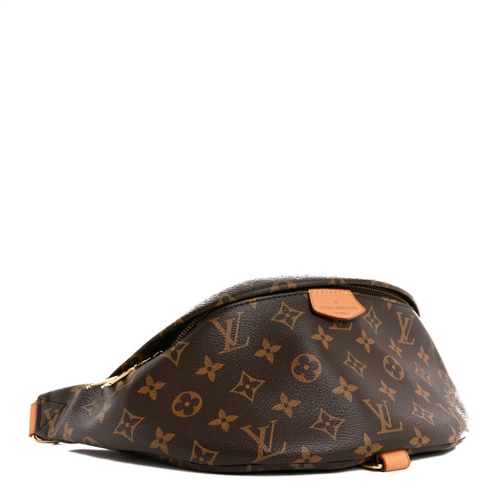 Louis Vuitton Monogram Bumbag