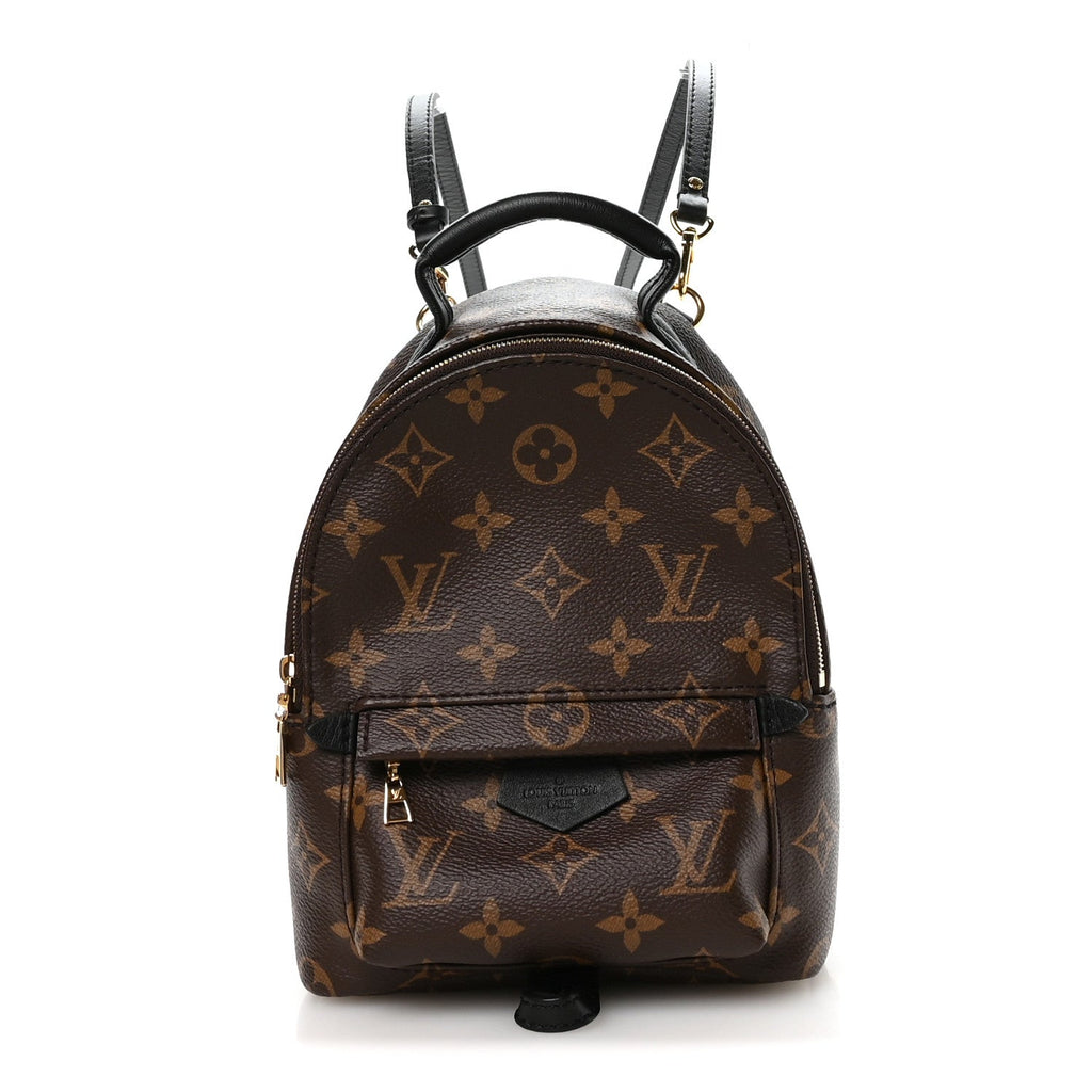 Louis Vuitton Monogram Palm Springs Backpack Mini