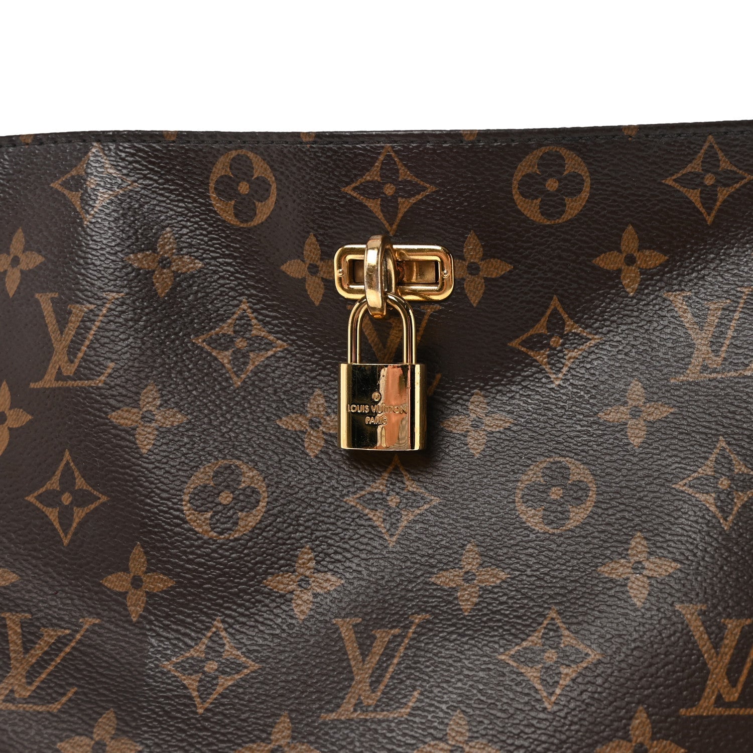 Louis Vuitton Monogram Python Ostrich Gaia Bordeaux