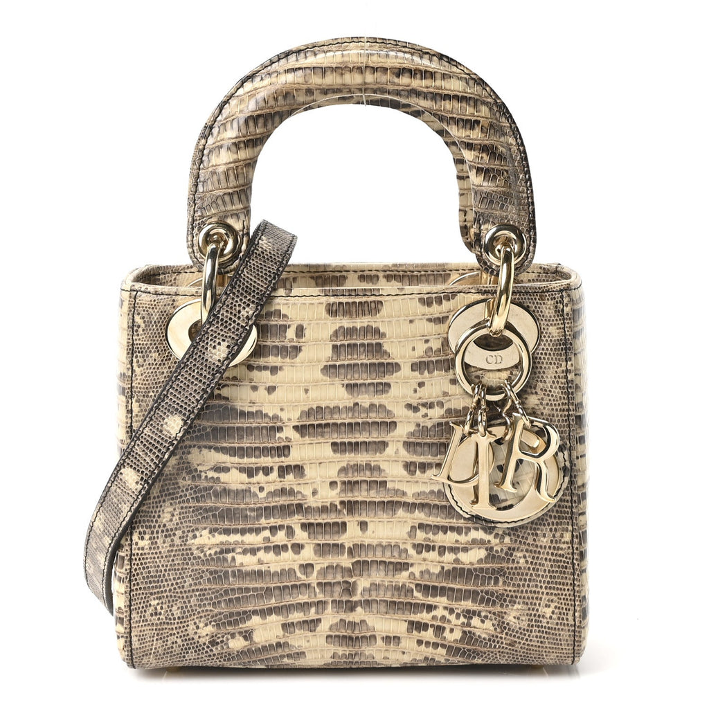 Christian Dior Lizard Ombre Mini Lady Dior