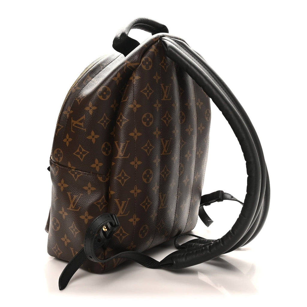 Louis Vuitton Monogram Palm Springs Backpack MM