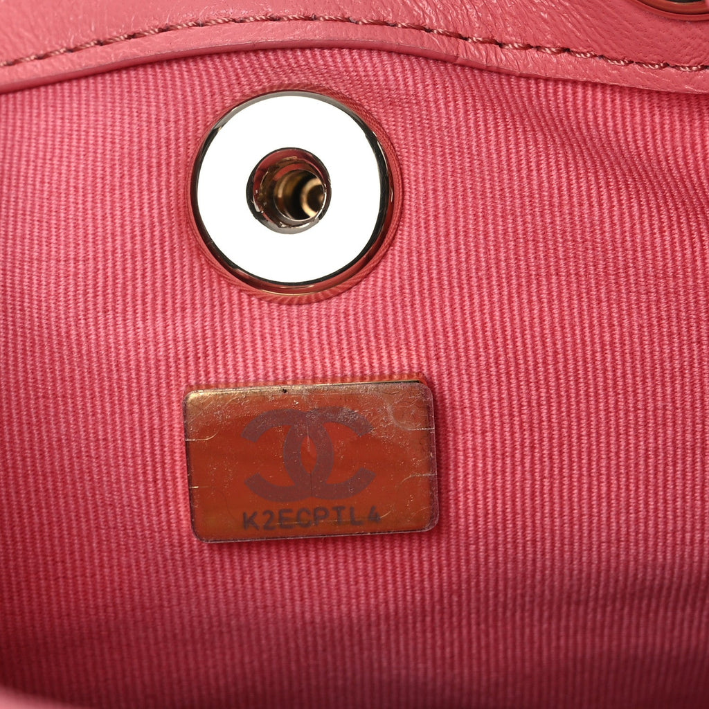 Chanel Lambskin Quilted Small Duma Drawstring Backpack Pink
