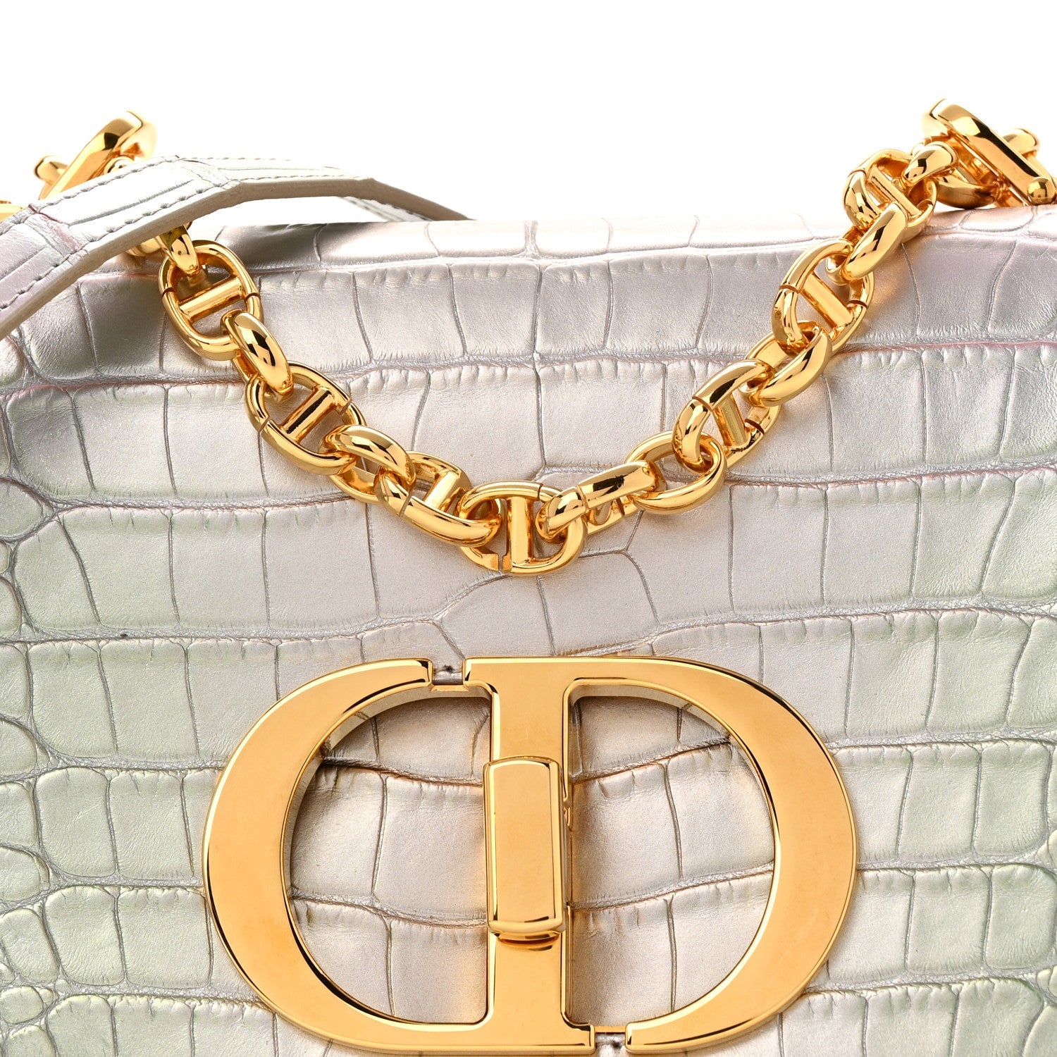 Christian Dior Metallic Alligator Small Caro Bag Multicolor