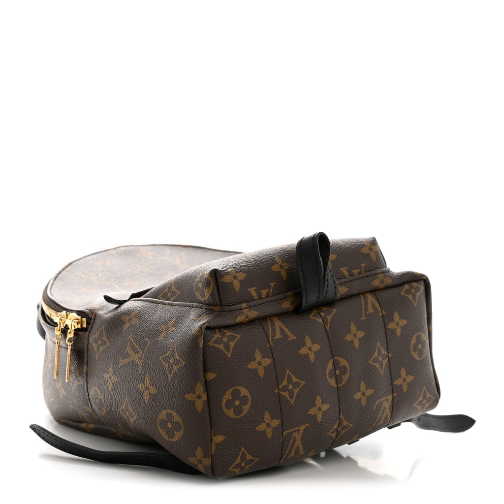 Louis Vuitton Monogram Palm Springs Backpack PM