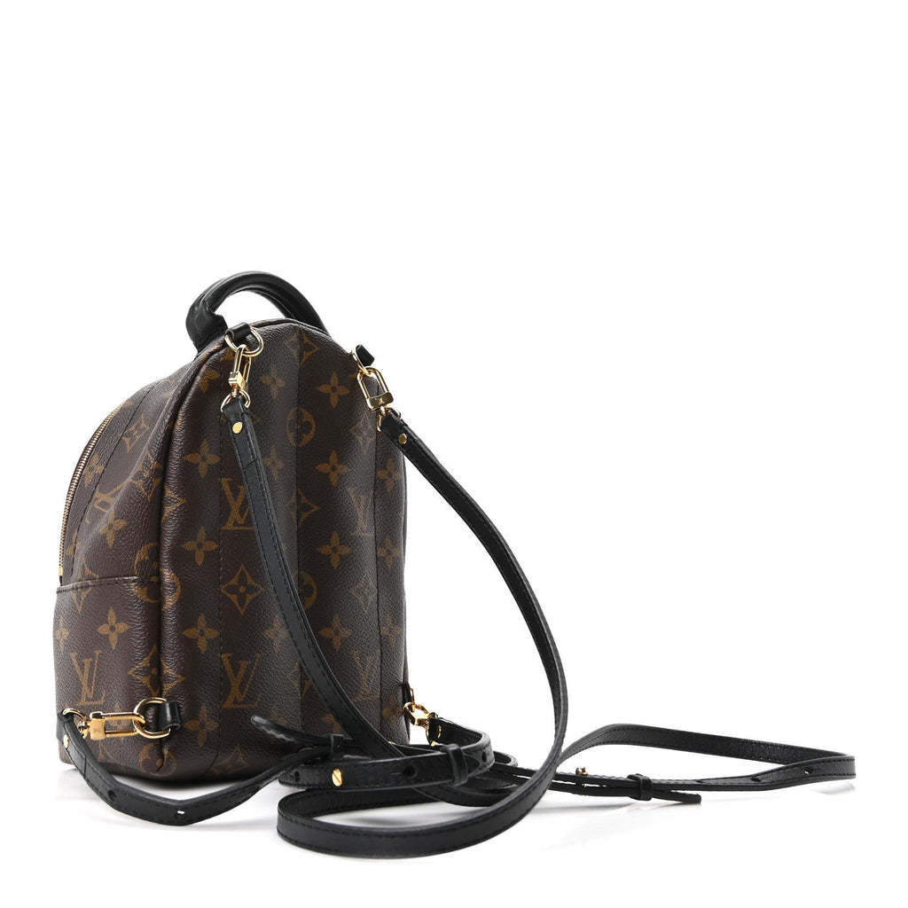 Louis Vuitton Monogram Palm Springs Backpack Mini