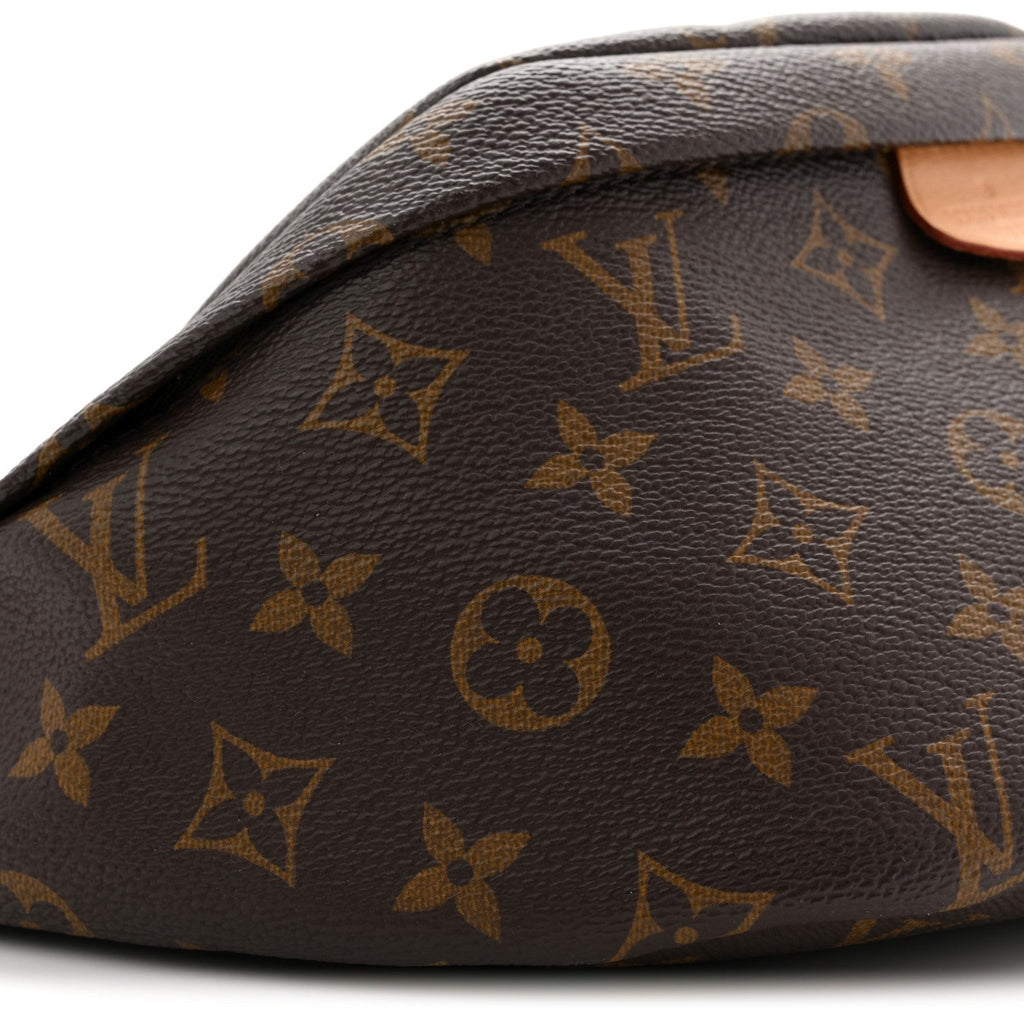 Louis Vuitton Monogram Bumbag