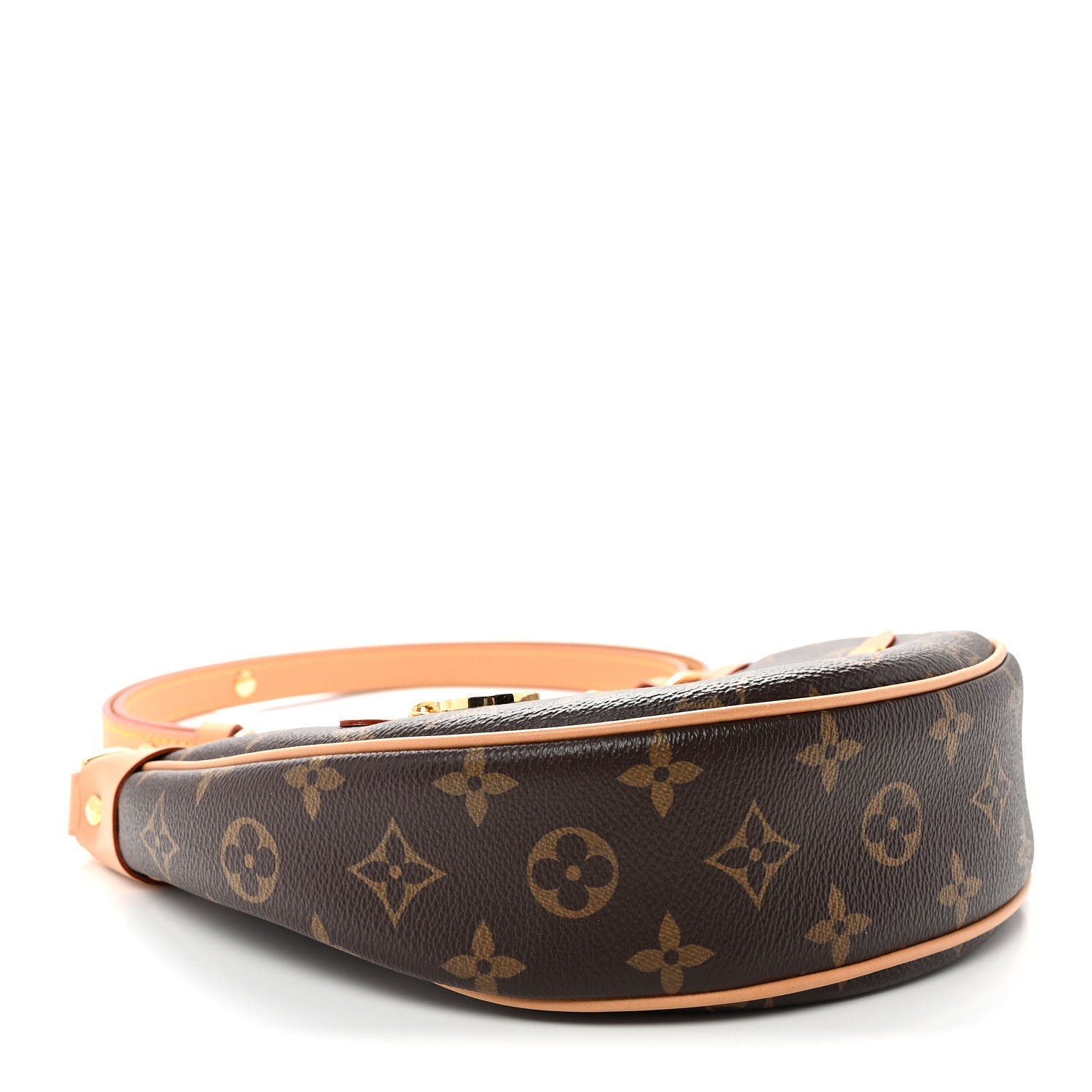 Louis Vuitton Monogram Loop