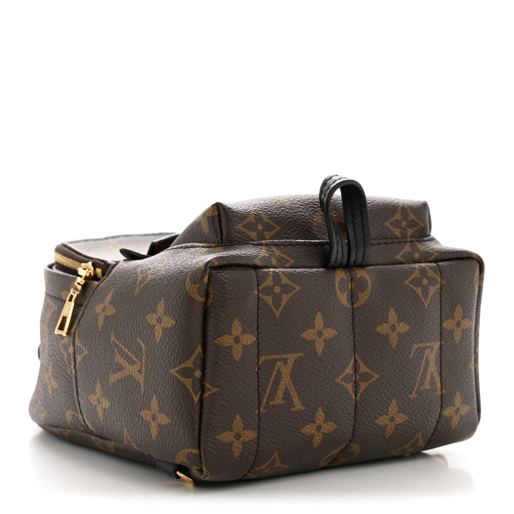 Louis Vuitton Monogram Palm Springs Backpack Mini