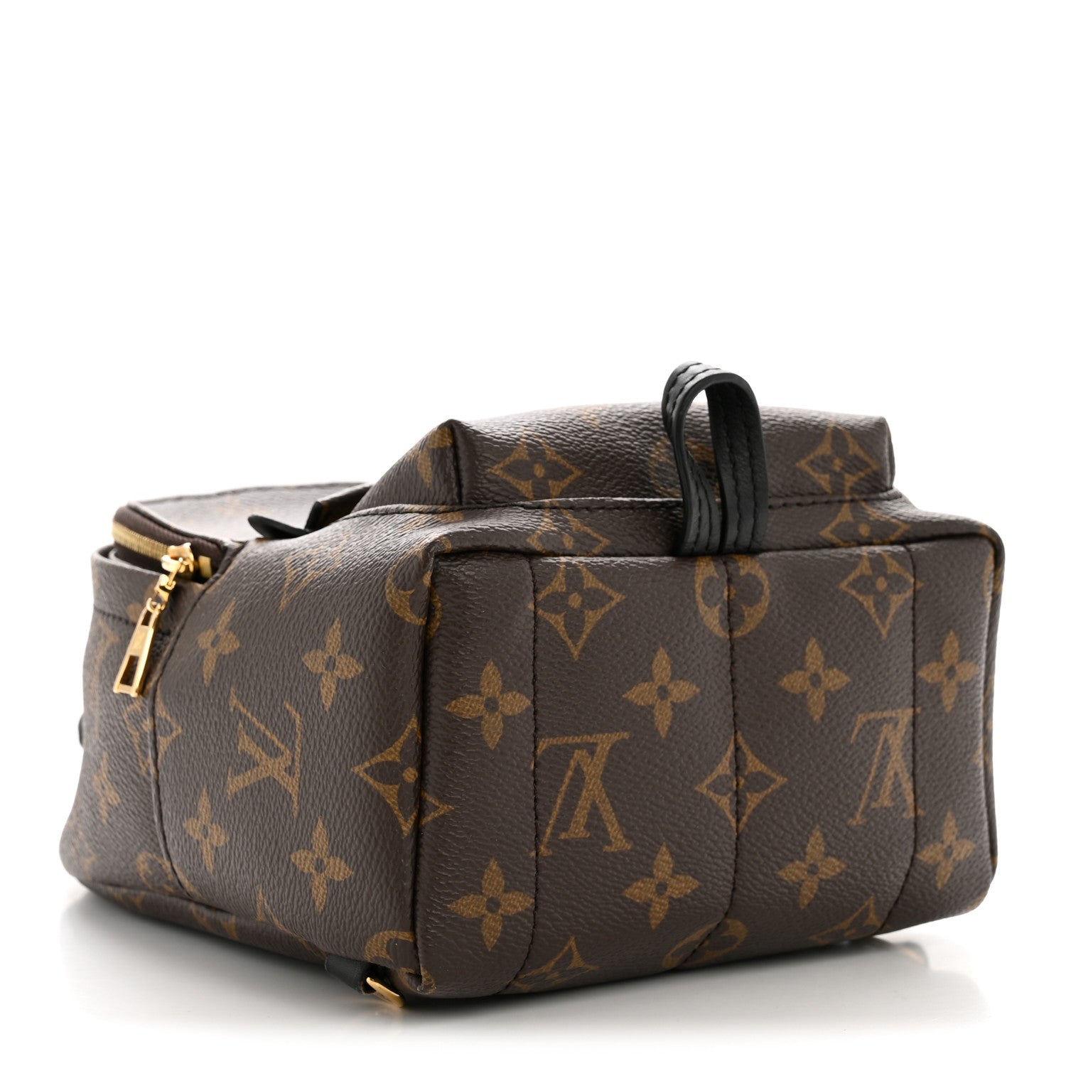 Louis Vuitton Monogram Palm Springs Backpack Mini